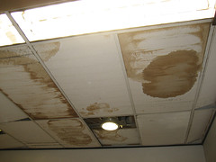 Water on your ceiling?